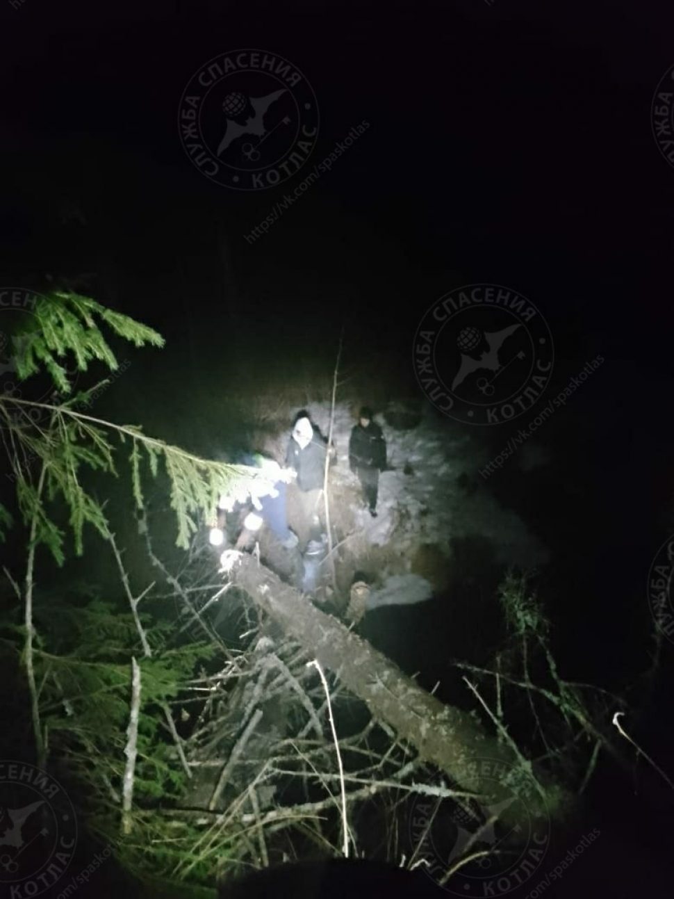 В Котласе нашли заблудившихся в лесу подростков